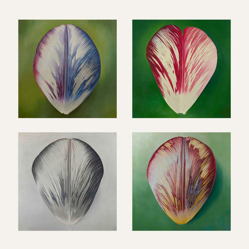 Rory McEwen Set of 4 Greeting Cards