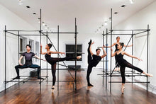 Brendan Fernandes: Re/Form