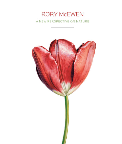 Rory McEwen: A New Perspective on Nature